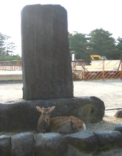 興福寺前にてしかさん