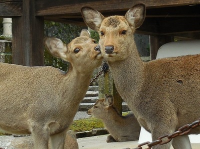 トライアングル